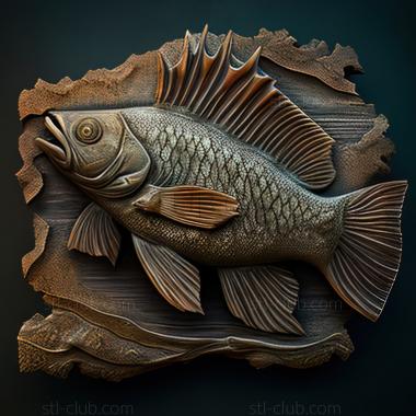 3D model st Yulidochromis fish (STL)